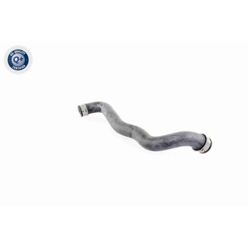 VAICO Kühlerschlauch Q+, Erstausrüsterqualität V30-1653