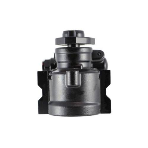 LAUBER Hydraulikpumpe, Lenkung 55.0048