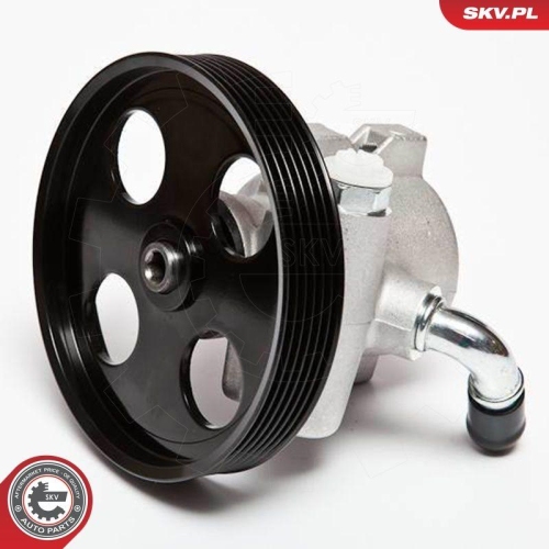ESEN SKV Hydraulikpumpe, Lenkung 10SKV002