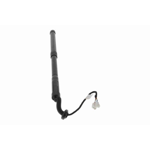 ACKOJA Elektromotor, Heckklappe Original ACKOJA Qualit&auml;t A26-55-0001