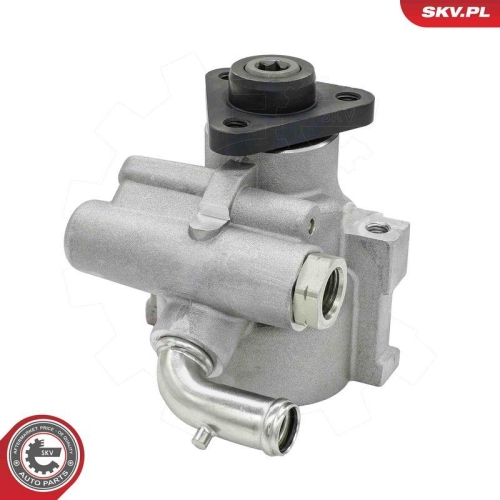 ESEN SKV Hydraulikpumpe, Lenkung 10SKV003