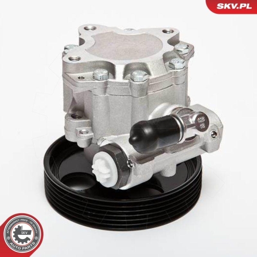 ESEN SKV Hydraulikpumpe, Lenkung 10SKV004