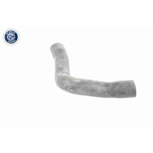 VAICO Ladeluftschlauch Q+, Erstausrüsterqualität V10-2909