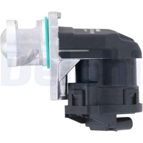 DELPHI AGR-Ventil EG10756-12B1