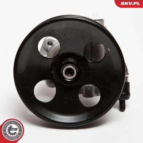 ESEN SKV Hydraulikpumpe, Lenkung 10SKV006