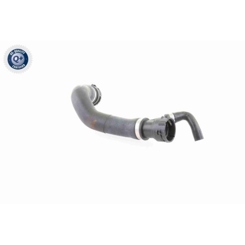 VAICO Kühlerschlauch Q+, Erstausrüsterqualität V20-1781