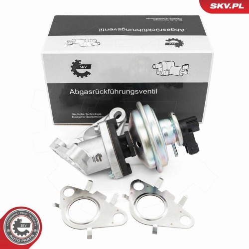 ESEN SKV AGR-Ventil 14SKV285