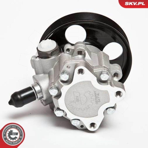 ESEN SKV Hydraulikpumpe, Lenkung 10SKV023