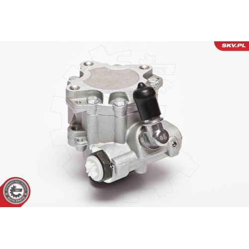 ESEN SKV Hydraulikpumpe, Lenkung