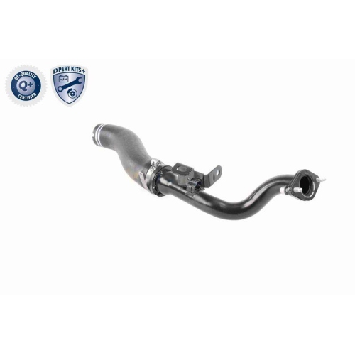 VAICO Ladeluftschlauch EXPERT KITS + V24-0722