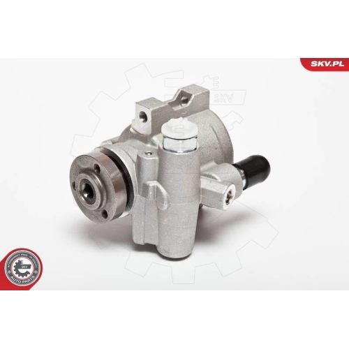 ESEN SKV Hydraulikpumpe, Lenkung