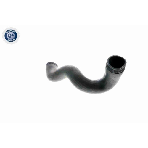 VAICO Ladeluftschlauch Q+, Erstausrüsterqualität V10-3141