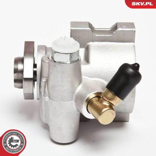 ESEN SKV Hydraulikpumpe, Lenkung 10SKV047