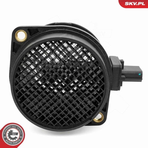 ESEN SKV Luftmassenmesser