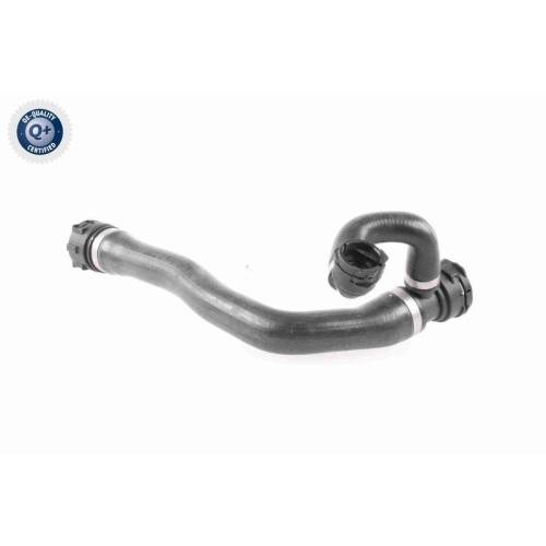 VAICO Kühlerschlauch Q+, Erstausrüsterqualität V20-2895