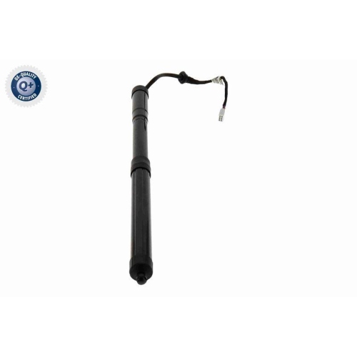 ACKOJA Elektromotor, Heckklappe Green Mobility Parts A70-55-0011