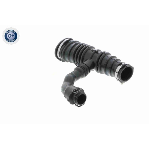 VAICO Ansaugschlauch, Luftfilter Q+, Erstausrüsterqualität V25-0792