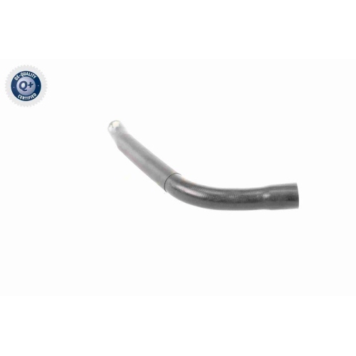 VAICO K&uuml;hlerschlauch Q+, Erstausr&uuml;sterqualit&auml;t V20-3333