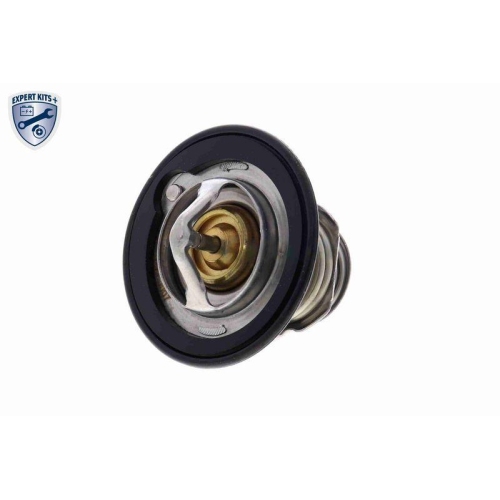 ACKOJA Thermostat, K&uuml;hlmittel EXPERT KITS + A26-99-0007