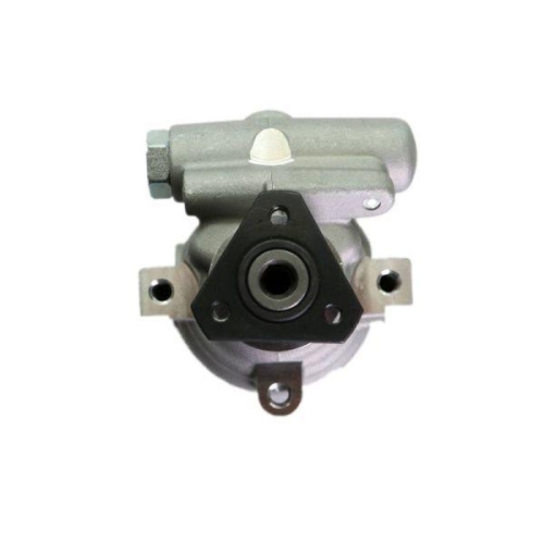 LAUBER Hydraulikpumpe, Lenkung 55.9105