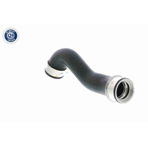 VAICO Ladeluftschlauch Q+, Erstausrüsterqualität V10-3761
