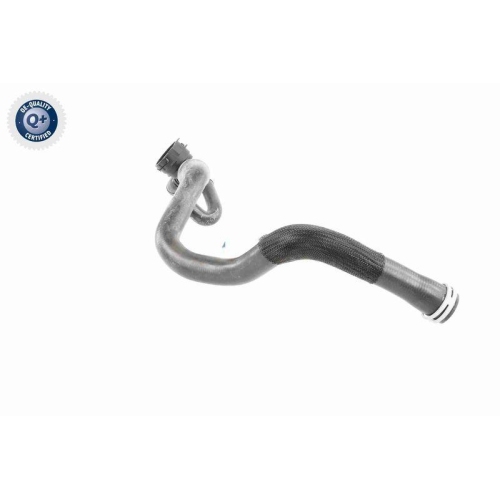 VAICO K&uuml;hlerschlauch Q+, Erstausr&uuml;sterqualit&auml;t V25-1164