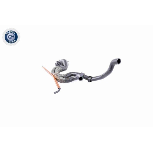 VAICO Kühlerschlauch Q+, Erstausrüsterqualität V10-3910