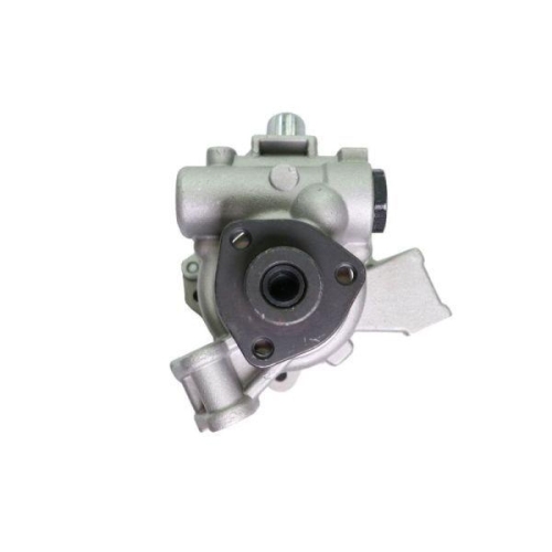 LAUBER Hydraulikpumpe, Lenkung 55.1031