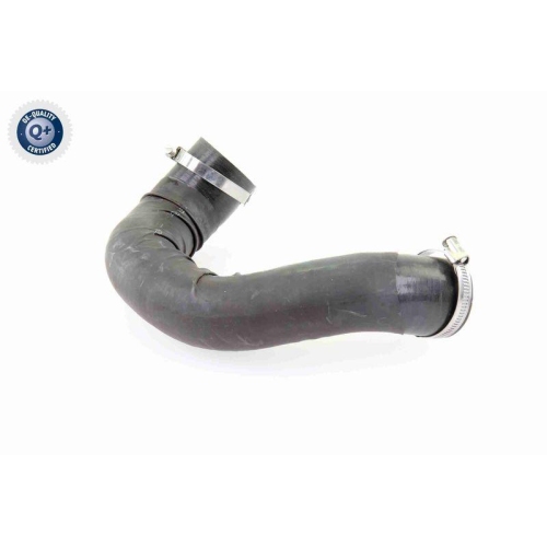 VAICO Ladeluftschlauch Q+, Erstausrüsterqualität V10-4393