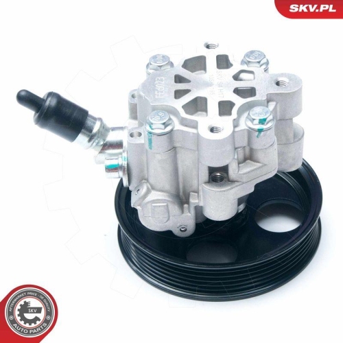 ESEN SKV Hydraulikpumpe, Lenkung 10SKV195