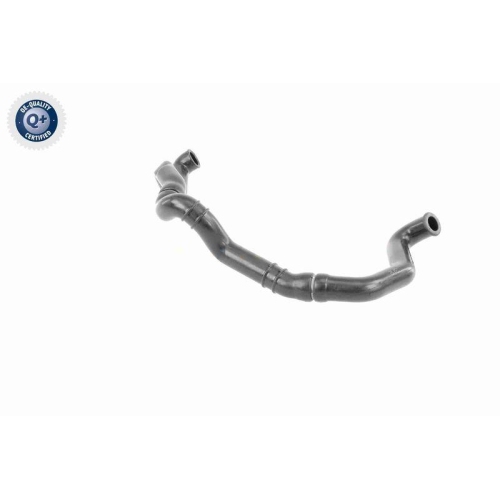 VAICO Schlauch, Zylinderkopfhaubenentlüftung Q+, Erstausrüsterqualität