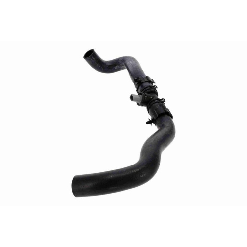 VAICO Kühlerschlauch Original VAICO Qualität V10-000123