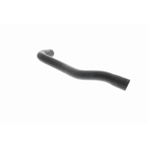 VAICO Kühlerschlauch Original VAICO Qualität