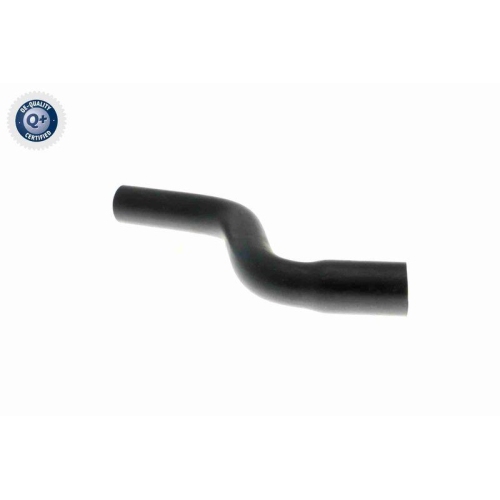 VAICO Schlauch, Zylinderkopfhaubenentl&uuml;ftung Q+, Erstausr&uuml;sterqualit&auml;t V40-1177