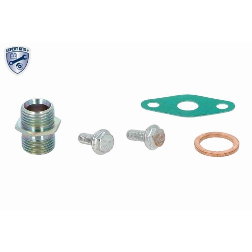 VAICO Ölleitung, Lader EXPERT KITS +