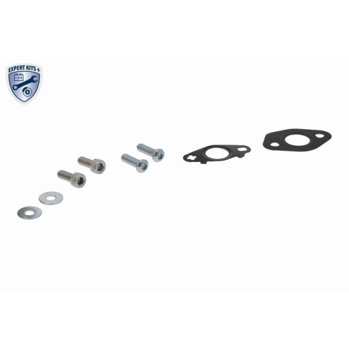 VAICO Ölleitung, Lader EXPERT KITS +