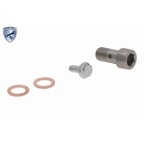 VAICO Ölleitung, Lader EXPERT KITS +