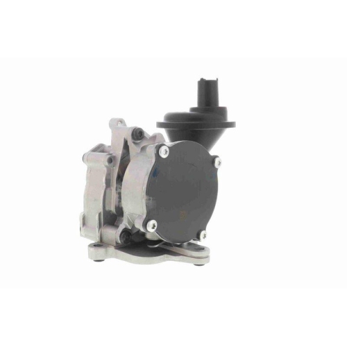 VAICO &Ouml;lpumpe Original VAICO Qualit&auml;t V10-8003