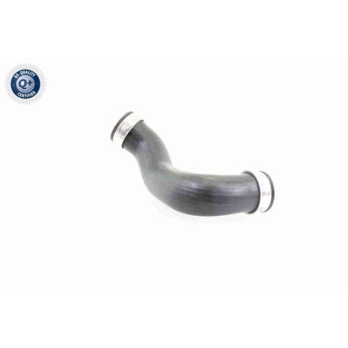 VAICO Ladeluftschlauch Q+, Erstausrüsterqualität V30-2648