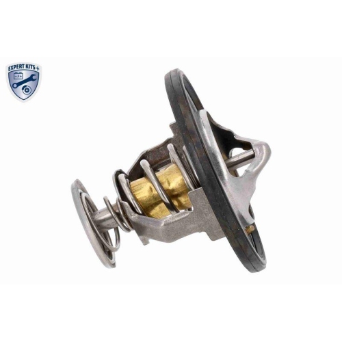 ACKOJA Thermostat, K&uuml;hlmittel EXPERT KITS + A52-99-0005