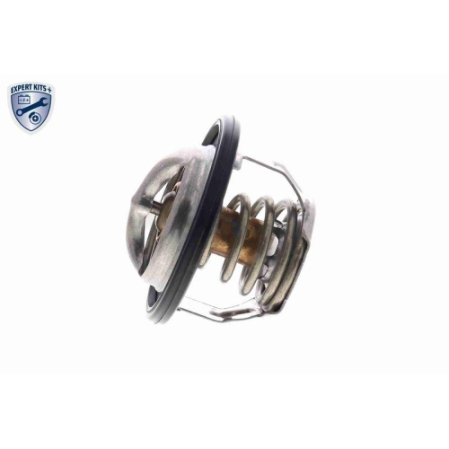 ACKOJA Thermostat, K&uuml;hlmittel EXPERT KITS + A63-99-0004