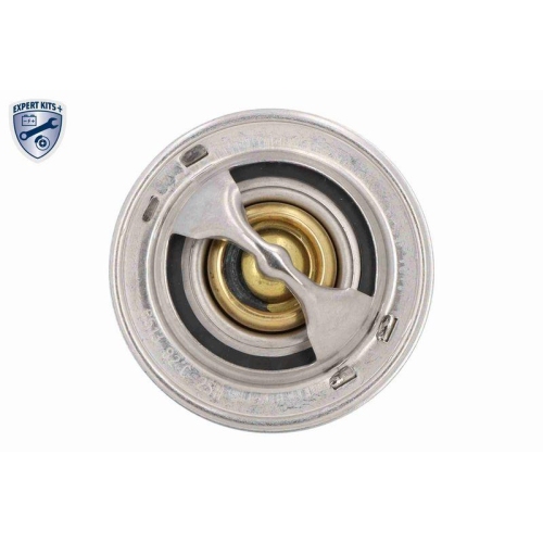 ACKOJA Thermostat, K&uuml;hlmittel EXPERT KITS + A64-99-0003
