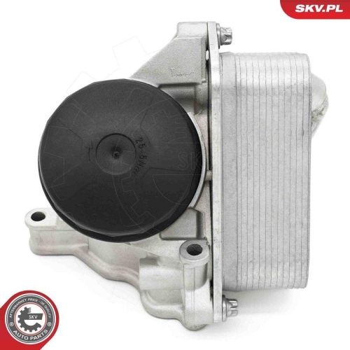 ESEN SKV &Ouml;lk&uuml;hler, Motor&ouml;l 31SKV442