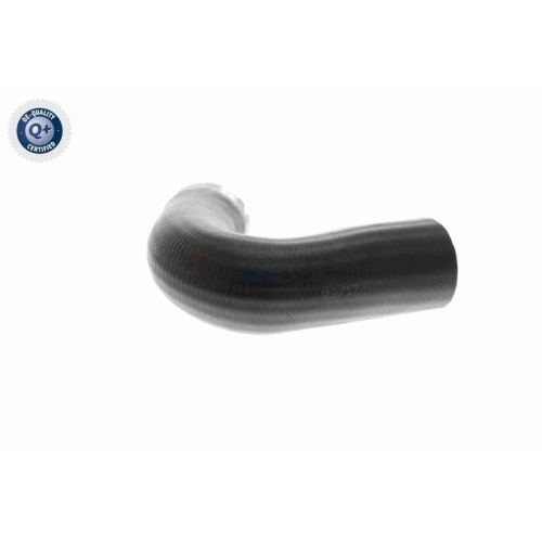 VAICO Ladeluftschlauch Q+, Erstausrüsterqualität V22-1100