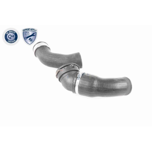 VAICO Ladeluftschlauch EXPERT KITS + V20-2970