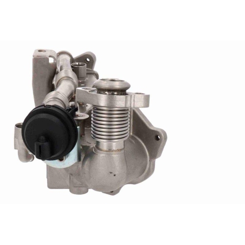 VEMO Kühler, Abgasrückführung Original VEMO Qualität V20-63-0062