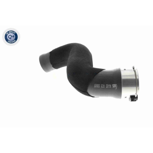 VAICO Ladeluftschlauch Q+, Erstausrüsterqualität