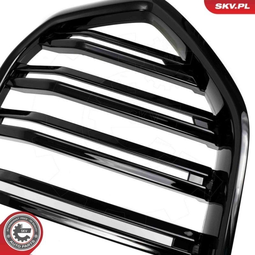 ESEN SKV Kühlergitter 66SKV309