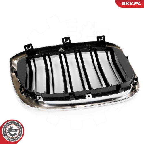 ESEN SKV Kühlergitter 66SKV263