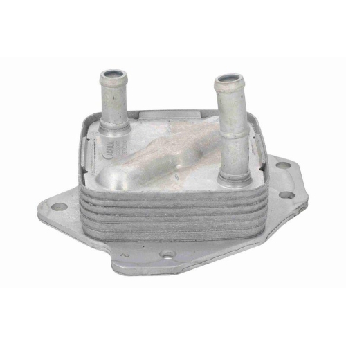 ACKOJA Ölkühler, Motoröl Original ACKOJA Qualität